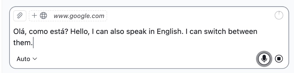 Voice input with multilingual support